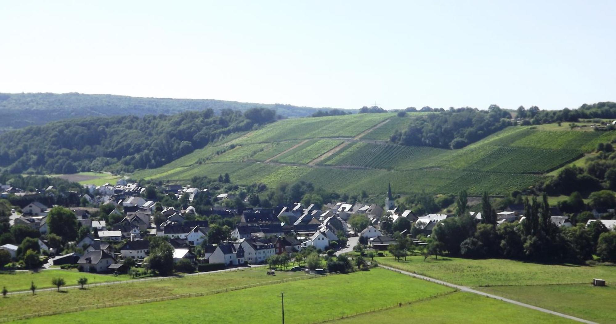 Ferienweingut & Gutsrestaurant Becker Διαμέρισμα Burgen  Εξωτερικό φωτογραφία
